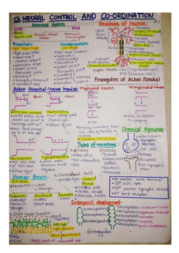 Neural Control and Coordination Notes PDF (NEET Biology) 2025-26 – Quick Revision